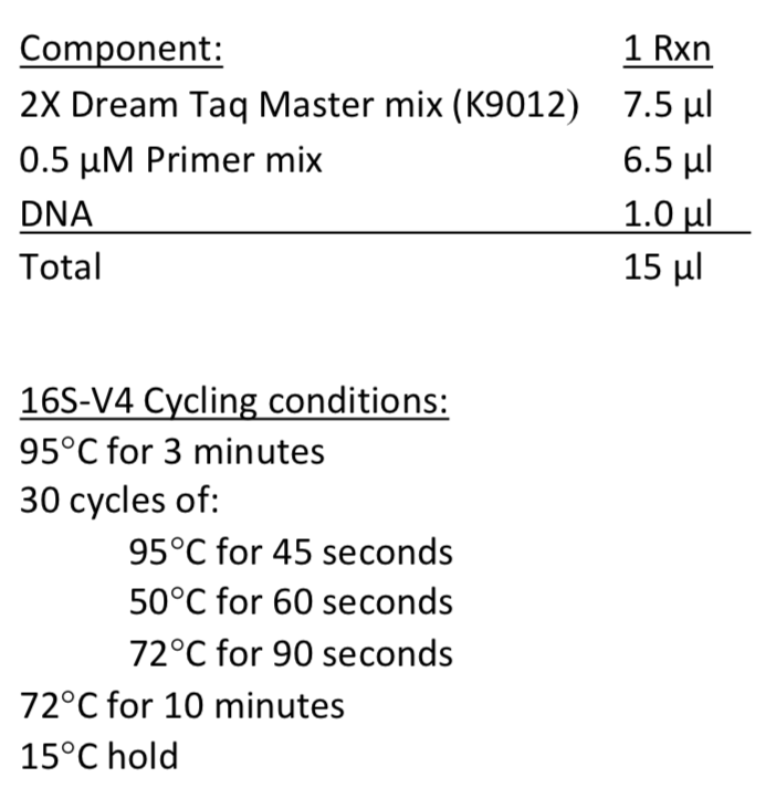16S-V4 PCR reaction recipe and cycling conditions